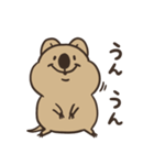 ニコッとワラえばクアッカ笑ビー。（個別スタンプ：31）