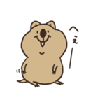 ニコッとワラえばクアッカ笑ビー。（個別スタンプ：32）
