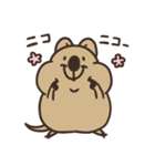 ニコッとワラえばクアッカ笑ビー。（個別スタンプ：33）