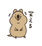 ニコッとワラえばクアッカ笑ビー。（個別スタンプ：35）