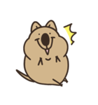ニコッとワラえばクアッカ笑ビー。（個別スタンプ：36）