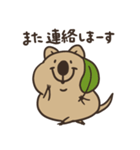 ニコッとワラえばクアッカ笑ビー。（個別スタンプ：38）