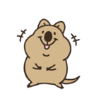 ニコッとワラえばクアッカ笑ビー。（個別スタンプ：39）