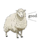 Love Knitting（個別スタンプ：10）