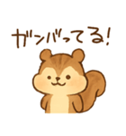 ほぼ生成AIで作ったリス（個別スタンプ：13）
