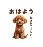 毒舌トイプードルのひとこと（個別スタンプ：1）