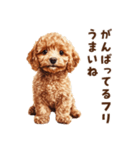 毒舌トイプードルのひとこと（個別スタンプ：3）