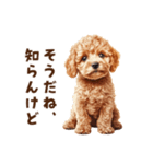 毒舌トイプードルのひとこと（個別スタンプ：4）