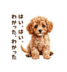 毒舌トイプードルのひとこと（個別スタンプ：5）