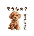 毒舌トイプードルのひとこと（個別スタンプ：6）