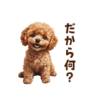 毒舌トイプードルのひとこと（個別スタンプ：9）