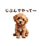 毒舌トイプードルのひとこと（個別スタンプ：11）