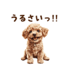 毒舌トイプードルのひとこと（個別スタンプ：14）