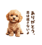 毒舌トイプードルのひとこと（個別スタンプ：16）