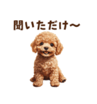 毒舌トイプードルのひとこと（個別スタンプ：19）