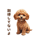 毒舌トイプードルのひとこと（個別スタンプ：24）