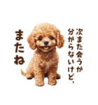毒舌トイプードルのひとこと（個別スタンプ：31）