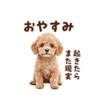 毒舌トイプードルのひとこと（個別スタンプ：32）