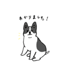 いろんな犬のスタンプ(敬語)（個別スタンプ：4）