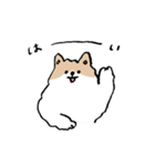 いろんな犬のスタンプ(敬語)（個別スタンプ：5）
