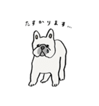 いろんな犬のスタンプ(敬語)（個別スタンプ：10）