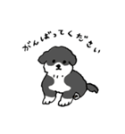 いろんな犬のスタンプ(敬語)（個別スタンプ：11）