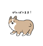 いろんな犬のスタンプ(敬語)（個別スタンプ：13）