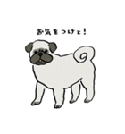いろんな犬のスタンプ(敬語)（個別スタンプ：15）
