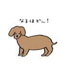 いろんな犬のスタンプ(敬語)（個別スタンプ：18）
