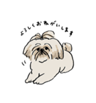 いろんな犬のスタンプ(敬語)（個別スタンプ：20）