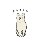 いろんな犬のスタンプ(敬語)（個別スタンプ：28）