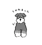 いろんな犬のスタンプ(敬語)（個別スタンプ：29）
