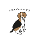 いろんな犬のスタンプ(敬語)（個別スタンプ：30）