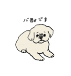 いろんな犬のスタンプ(敬語)（個別スタンプ：35）