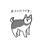 いろんな犬のスタンプ(敬語)（個別スタンプ：36）