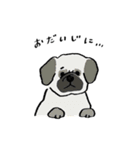 いろんな犬のスタンプ(敬語)（個別スタンプ：38）