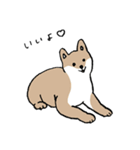 いろんな犬のスタンプ(なかよし)（個別スタンプ：3）