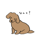 いろんな犬のスタンプ(なかよし)（個別スタンプ：4）