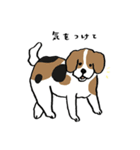 いろんな犬のスタンプ(なかよし)（個別スタンプ：9）