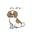 いろんな犬のスタンプ(なかよし)（個別スタンプ：12）