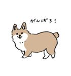 いろんな犬のスタンプ(なかよし)（個別スタンプ：13）