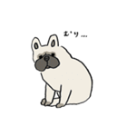 いろんな犬のスタンプ(なかよし)（個別スタンプ：21）