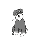 いろんな犬のスタンプ(なかよし)（個別スタンプ：25）