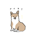 いろんな犬のスタンプ(なかよし)（個別スタンプ：31）
