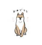 いろんな犬のスタンプ(なかよし)（個別スタンプ：34）