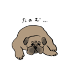 いろんな犬のスタンプ(なかよし)（個別スタンプ：36）