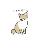 いろんな犬のスタンプ(なかよし)（個別スタンプ：39）