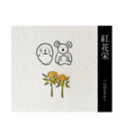 にちじょうこあらの七十二候(上半期)（個別スタンプ：29）