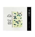 にちじょうこあらの七十二候(上半期)（個別スタンプ：36）