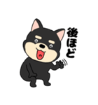 【毎日使える】敬語柴犬のしば吉23（個別スタンプ：3）